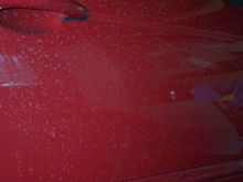 BMW waterspots 001.jpg