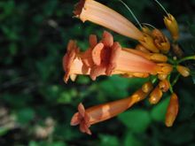 07302006 023.jpg