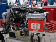 CRW_0138.jpg