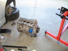 motor donezo 008.jpg