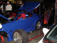 DSC01342.JPG