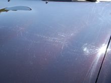 DSC_0201.JPG
