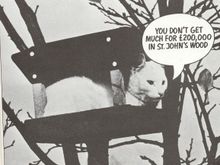 Puss8.bmp
