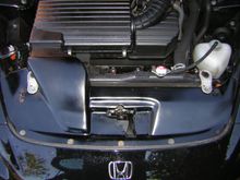 DSCN3742.JPG