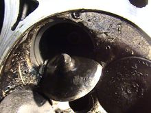 DSC00382-1.JPG