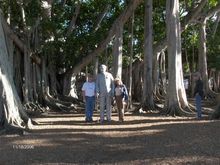 Sanabel 028.jpg