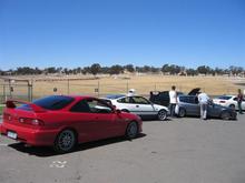Integra Bug Civic.jpg