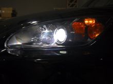 TRE_0209.JPG