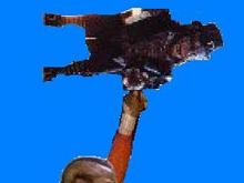 tlep14.jpg