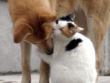 forbidden-romance.jpg