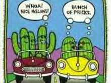cactii.jpg
