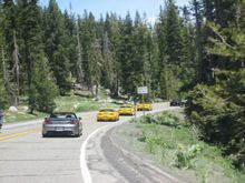 IMG_4379.JPG