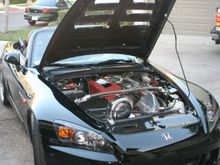 IMG_9132.jpg