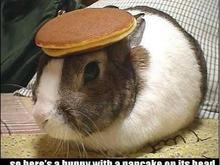 bunny pancake.JPG
