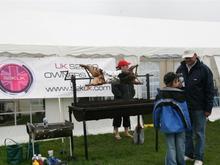 IMG_0004 (Large).JPG