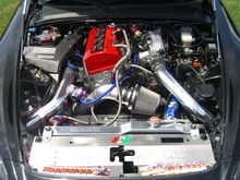 CIMG0889.JPG