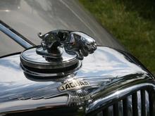 IMG_0114 (Large).JPG