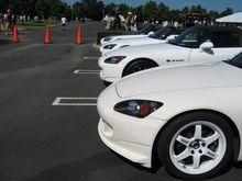 IMG_8347.JPG