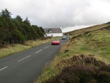 IMG_0036_1.jpg