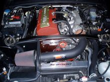 PB280009.JPG