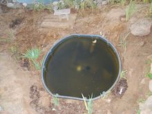 Pond Makeover 2008-03-04_10.JPG