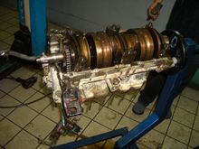 CIMG1971.JPG