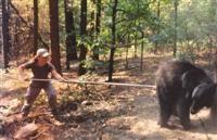 SBMaxJab (Small) (Custom) (2).jpg