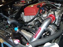 DSC01373.JPG