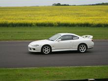 IMG_0041 (Large).JPG
