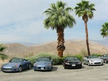 borrego-all.jpg