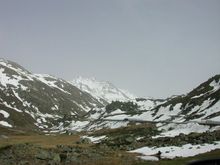DSCN4352_resize.JPG