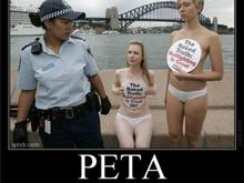 naked-peta-demotivational-poster.jpg
