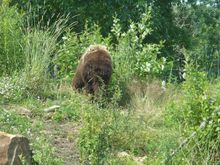 Vacation 2008 057.jpg