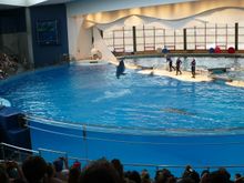 Vacation 2008 084.jpg