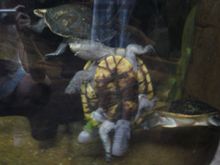 Vacation 2008 154.jpg