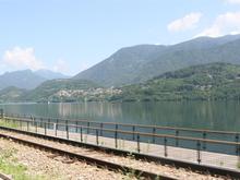 IMG_0050 (Large).JPG
