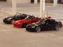 DSC01084.JPG