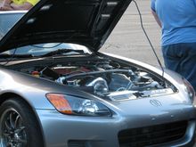 IMG_3591.JPG