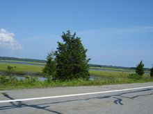DSC01991a.jpg