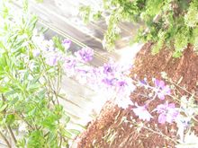 DSCN7412.JPG