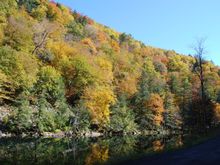 DSC_0037.JPG
