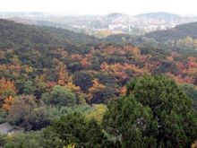 09-034 fall colors.jpg