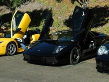 DSC_1667 081108 lambos.JPG
