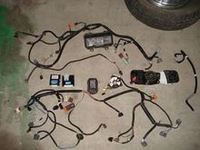 DSC03262.JPG