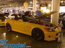 carandmodelhin.jpg