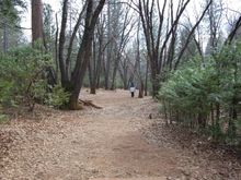 Hole 15.  See first big tree on left?  Straight right 100ft.