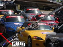 spgp sun 572.JPG
