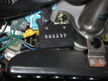 CIMG6034.JPG