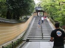 IMG_1117 (Large).JPG