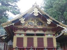 IMG_1714 (Large).JPG